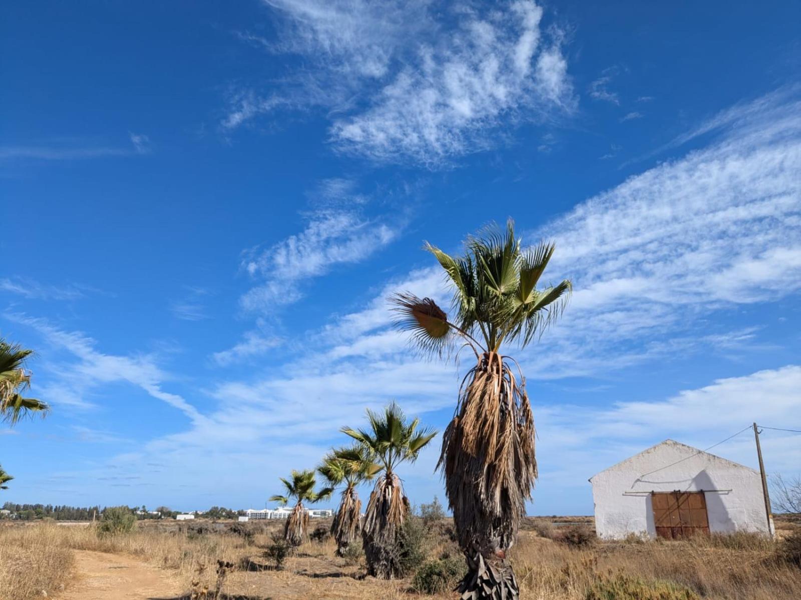 Paradise In Cabanas De Tavira Zewnętrze zdjęcie